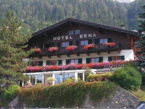 Отель Hotel Erna, Бреннер